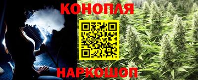 apvp Усть-Илимск