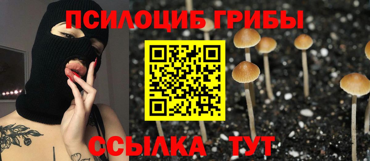 Галлюциногенные грибы мицелий  Вход с VPN  купить  цена  Мариинск 